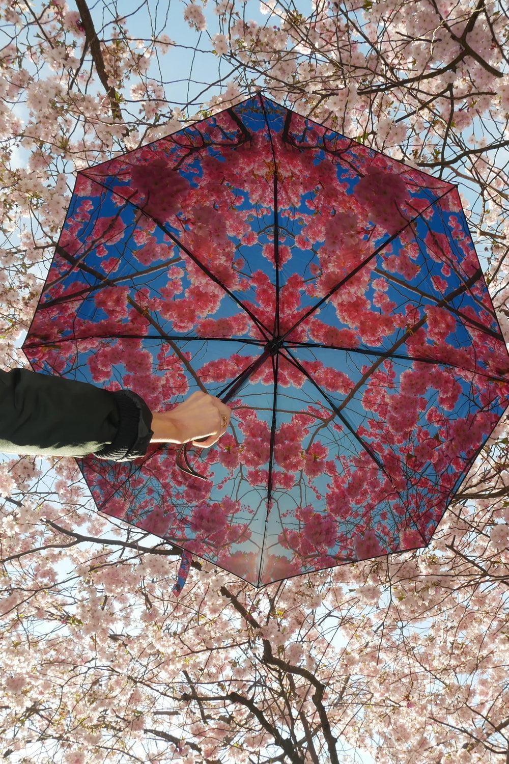 Cherry Umbrella