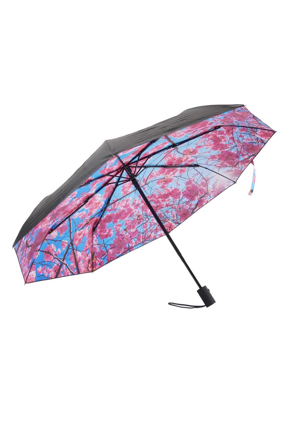 Cherry Umbrella