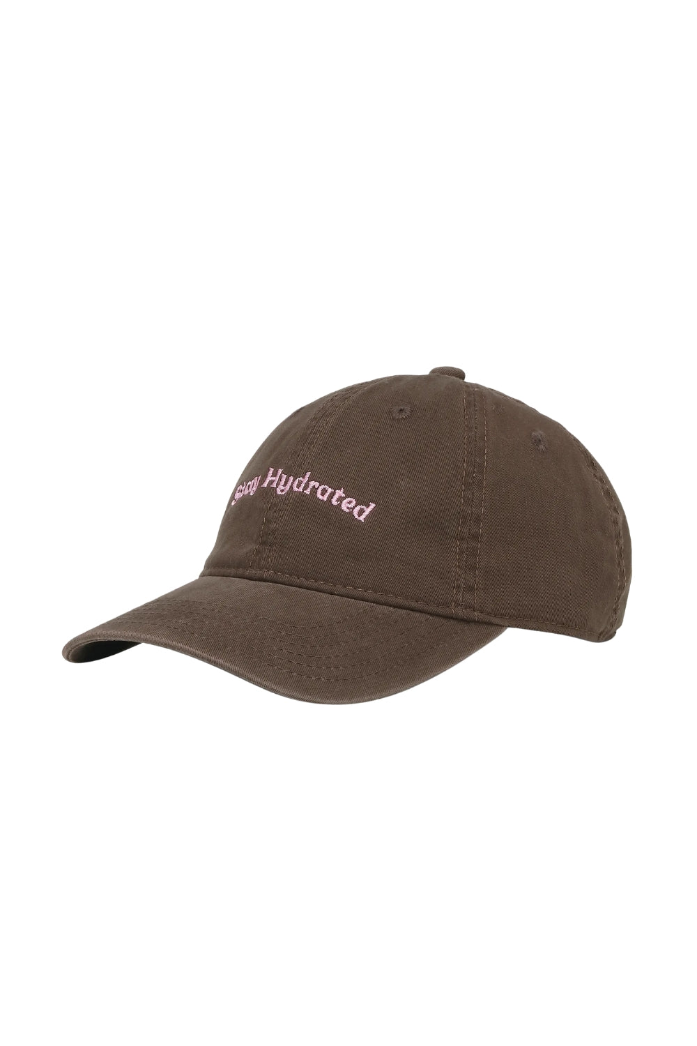 Everyday Essential Cap Brown / Stay Hydrated