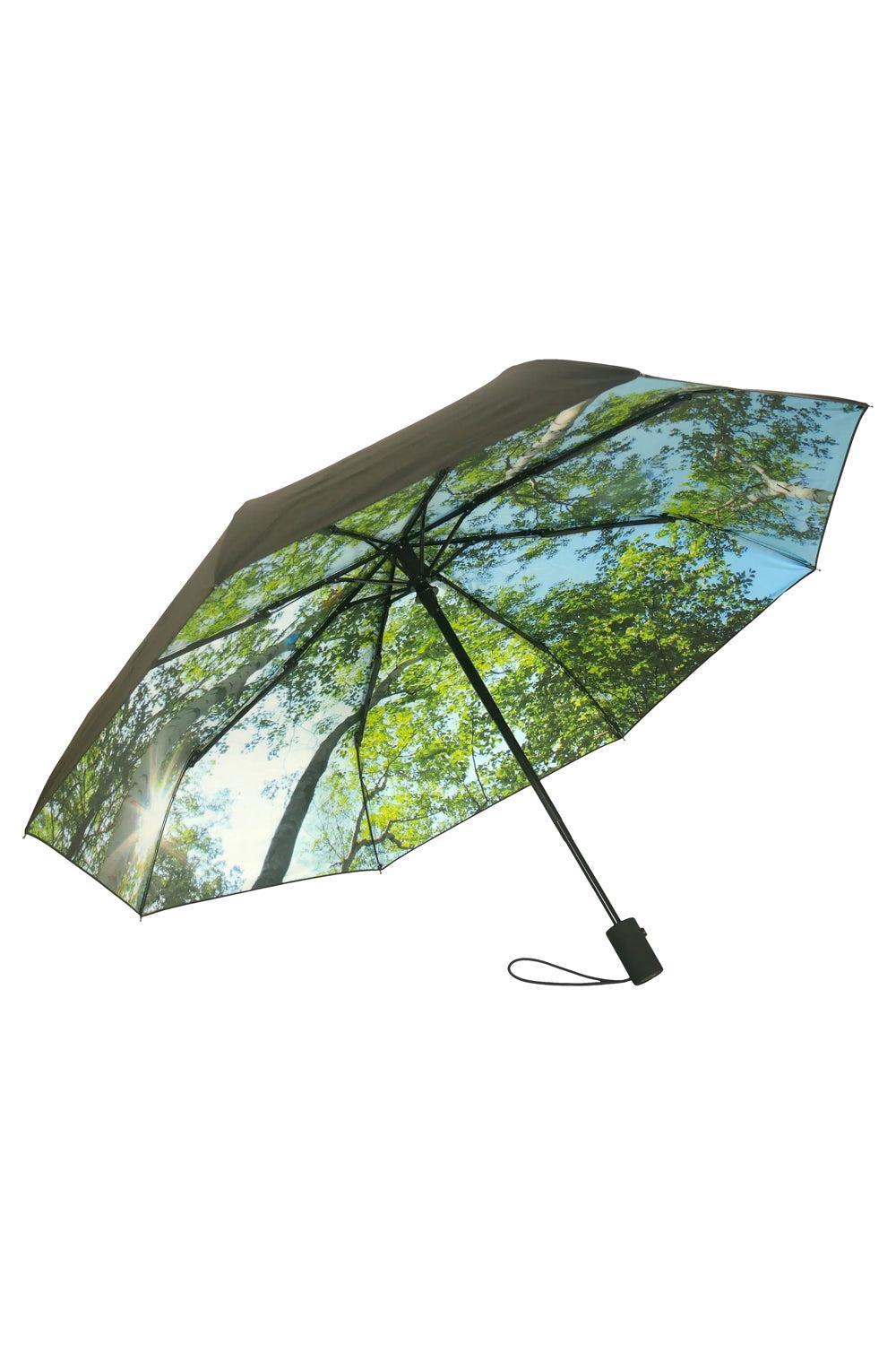 Forest Umbrella