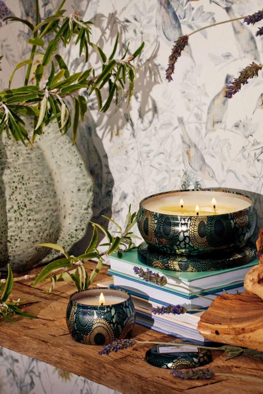 French cade & Lavender mini tin candle 113g
