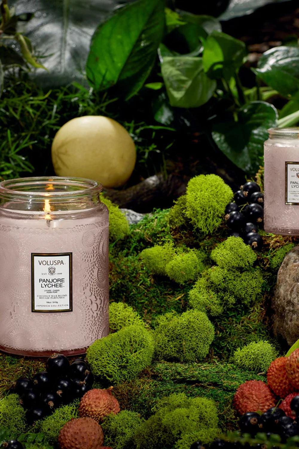 Large Jar Candle 510g Panjore Lychee