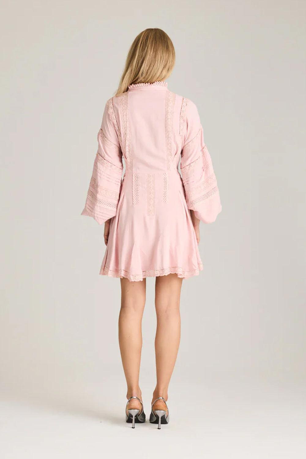 Lita Dress Pale Mauve Roses