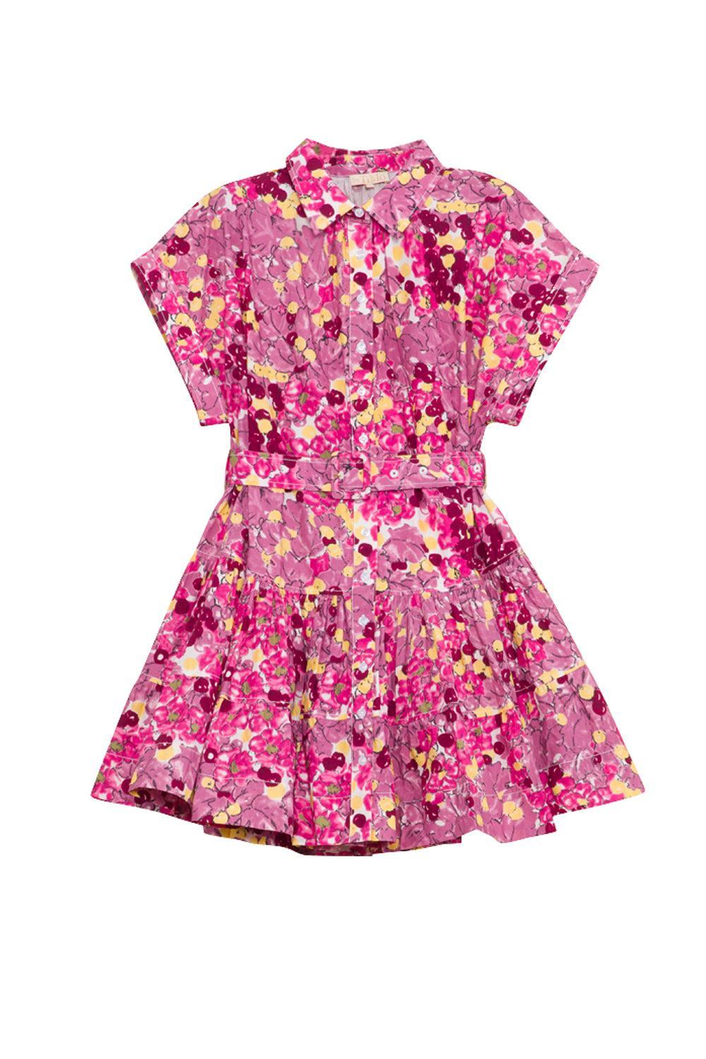 Poplin Belt Dress Bright Field