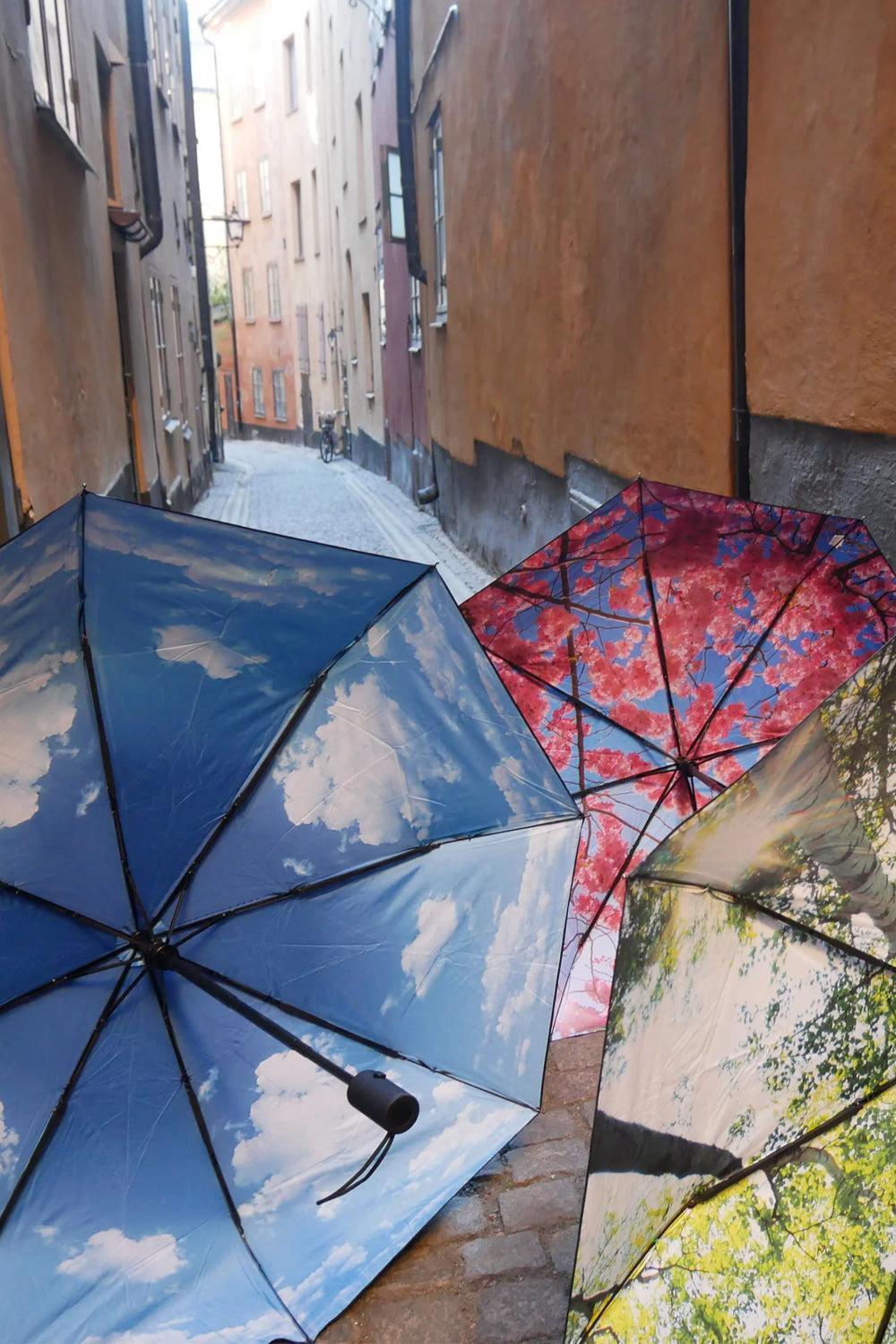 Sky Lake Umbrella