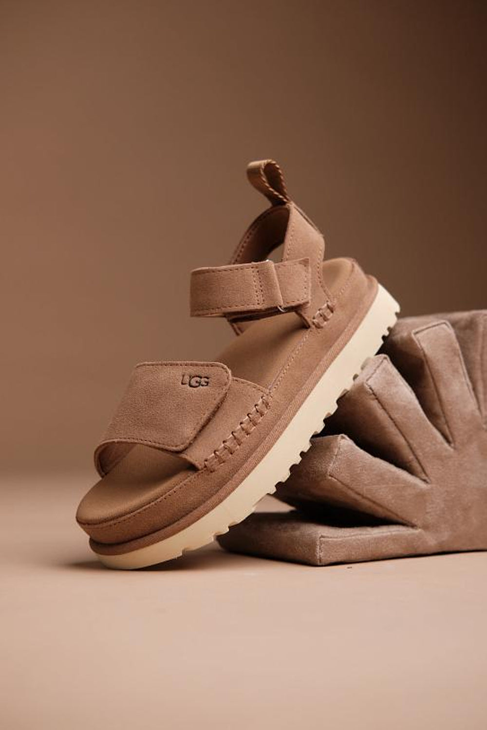 W Goldenstar Chestnut