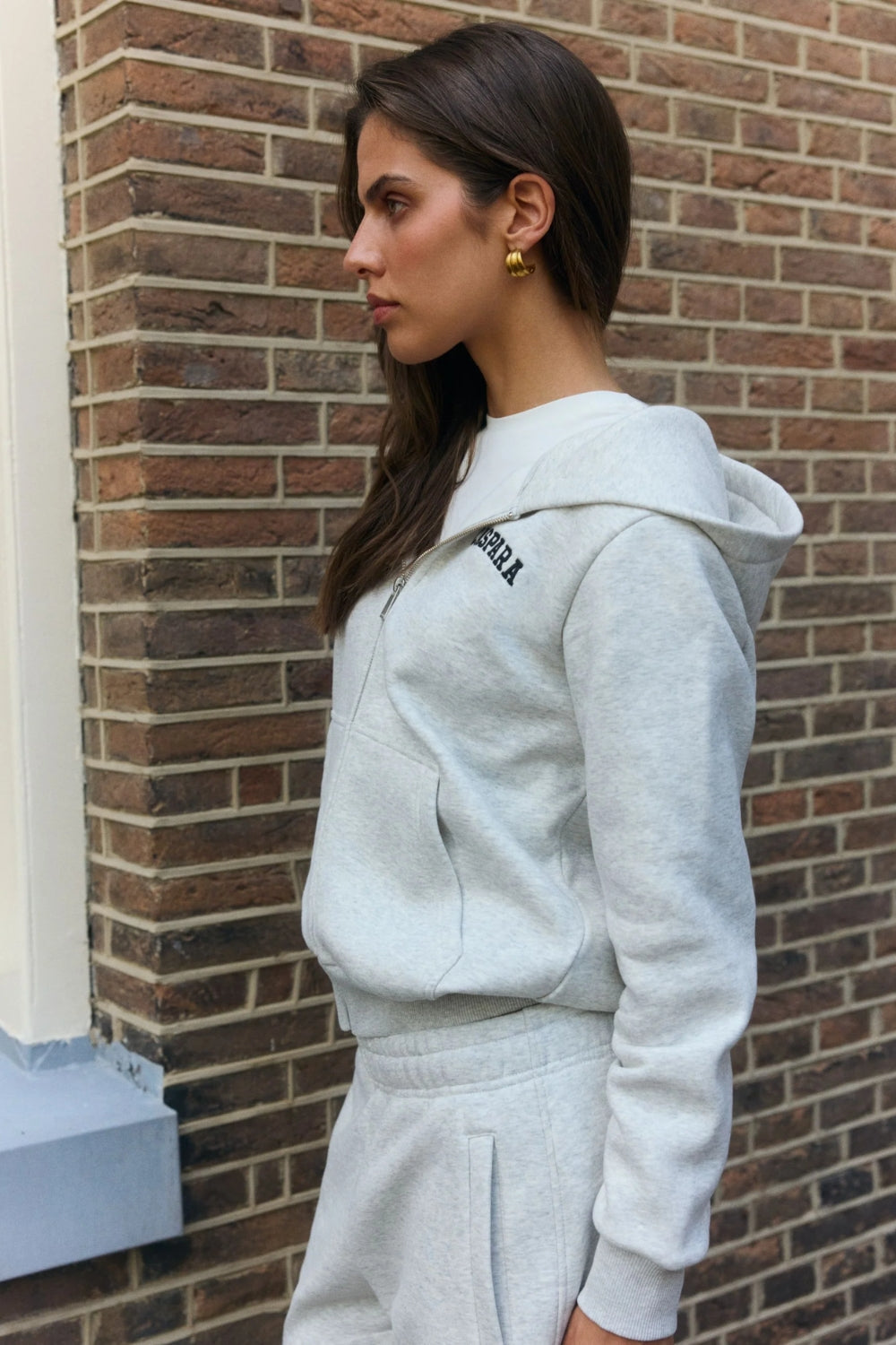W. All-Star Zip Hoodie Grey Melange w. Black