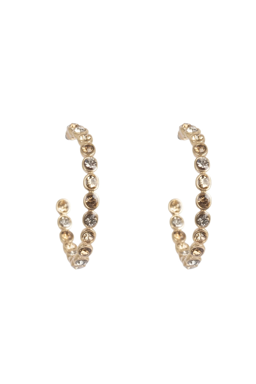 Glowing Tones Earrings