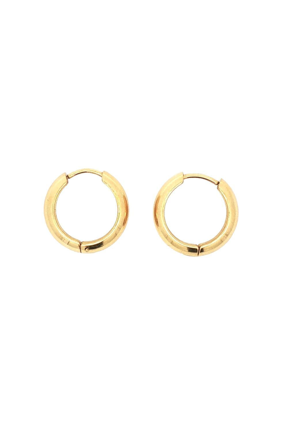 Creol Steel 14K Earrings