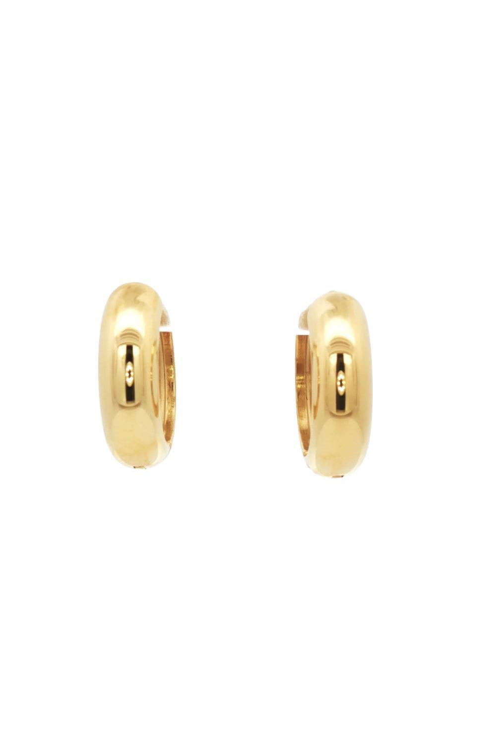 Creol Steel 14K Earrings