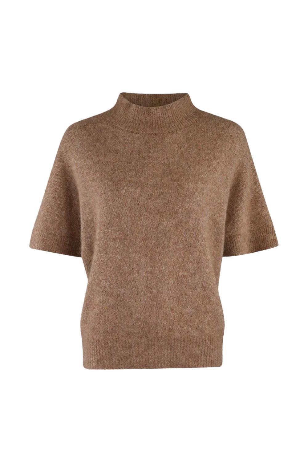 Doanne Dachsund Melange