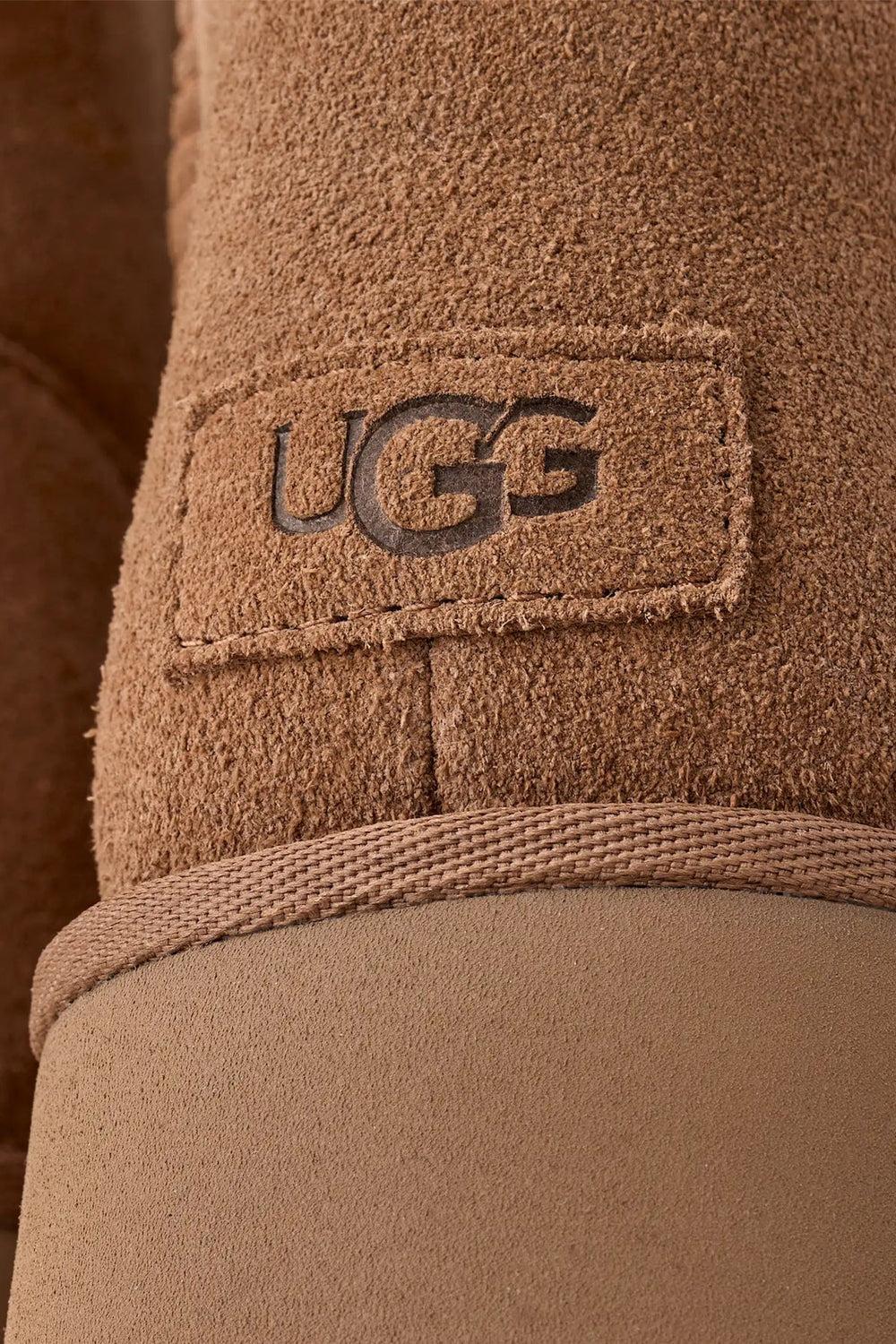 New Heights Cuff Chestnut