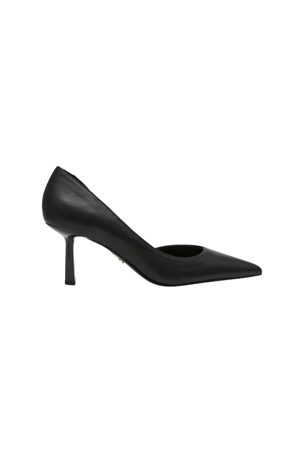 Steve madden vena