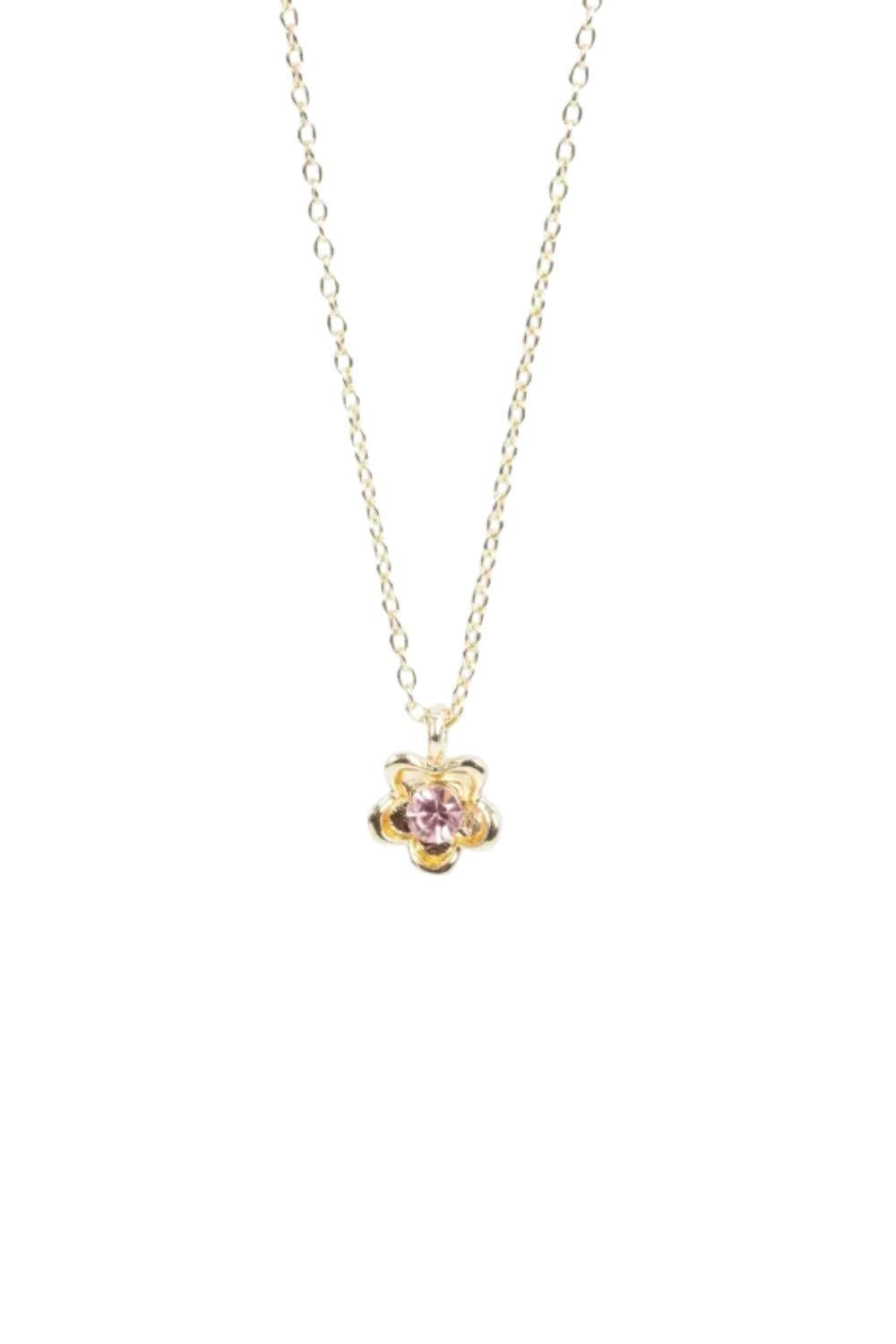 Tone Damli Bloomy
