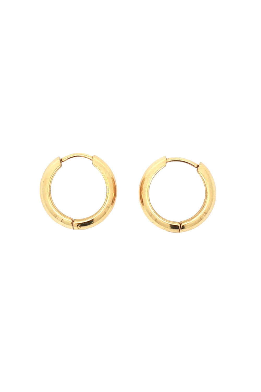 Creol Steel 14K Earrings